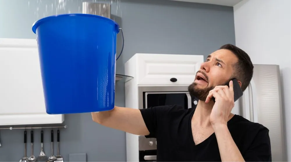 Black Mold in Your Home: Signs, Health Risks & Safe Removal